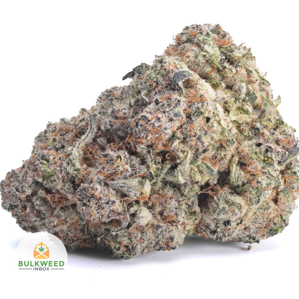 GHOST-OG-AAA1-2