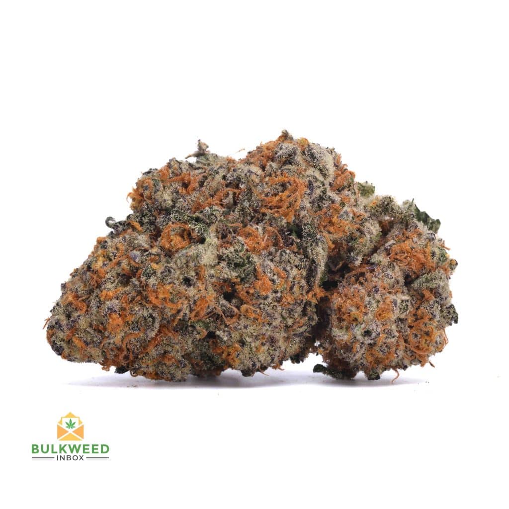GMO-COOKIES