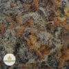 GMO-COOKIES-2