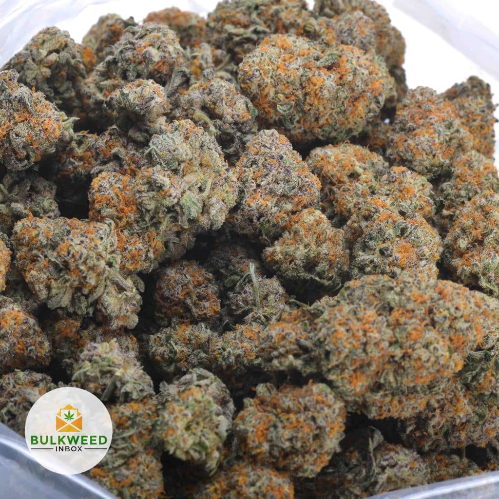 GMO-COOKIES-3