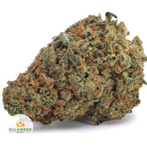 HEADBAND-AA1-2