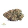 JACK-HAZE