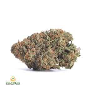 JACK-HAZE