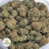 JACK-HAZE-4