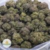 KING-LOUIS-XIII-AAA-2