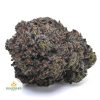 KING-LOUIS-XIII-AAA1-2