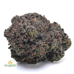 KING-LOUIS-XIII-AAA1-2