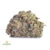 KOSHER-KUSH