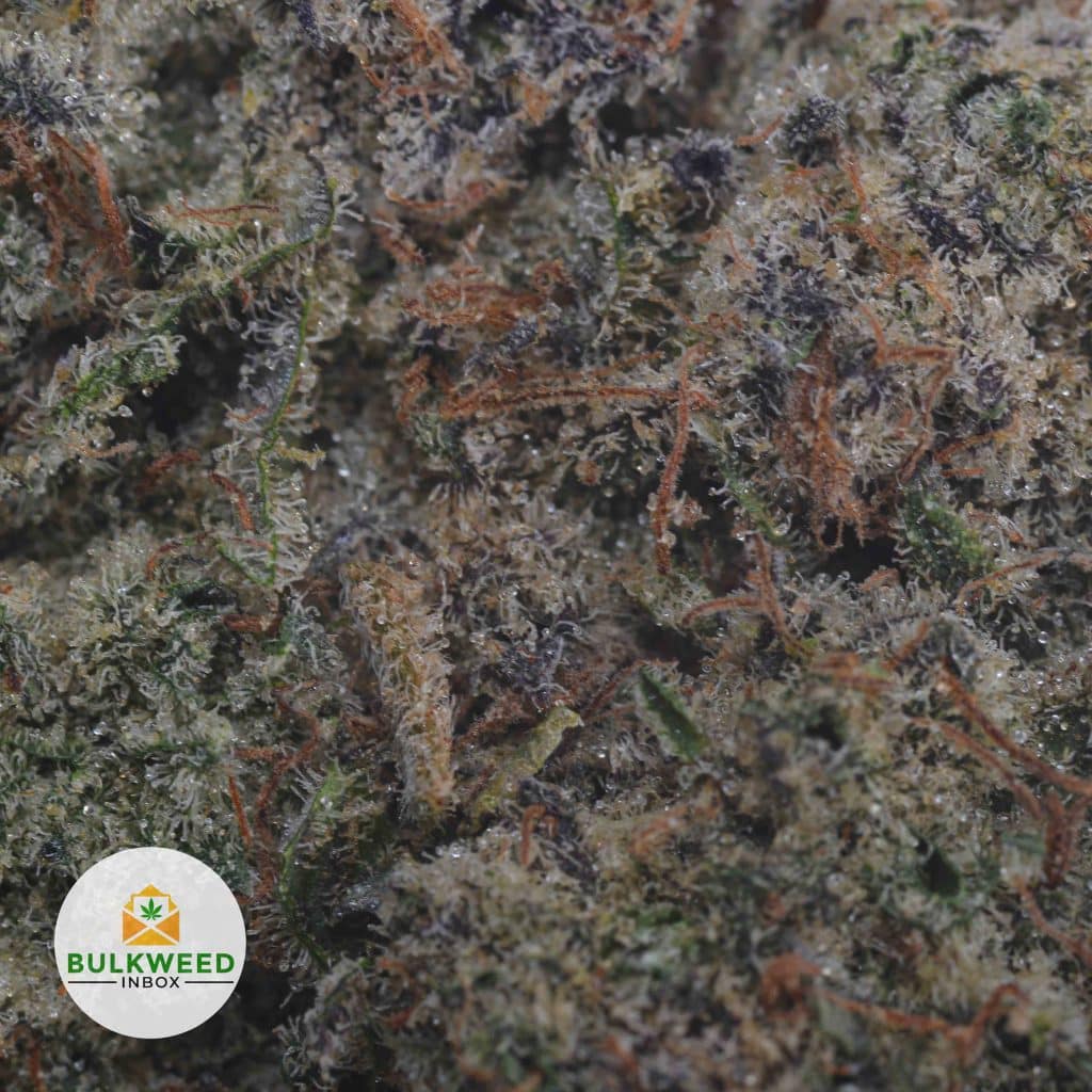 KUSH-MINTS-2