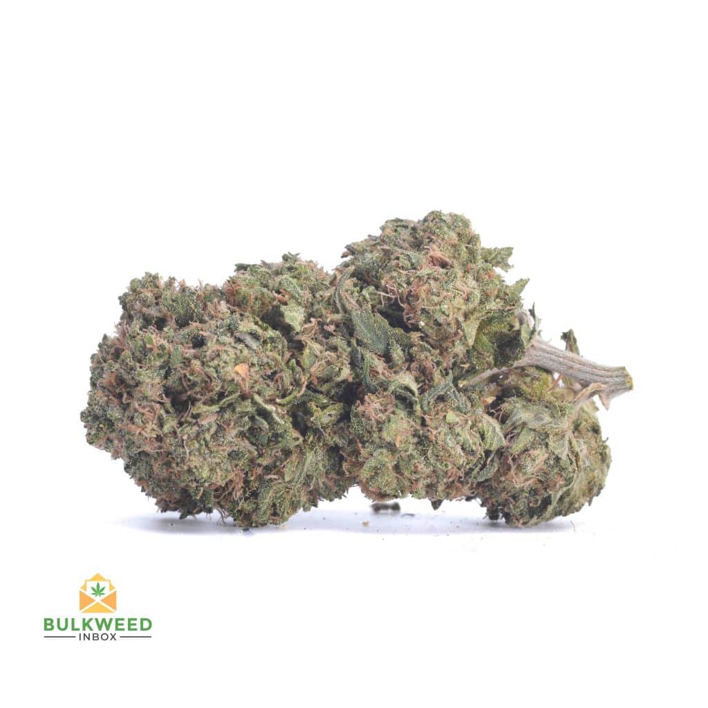 LA-CONFIDENTIAL