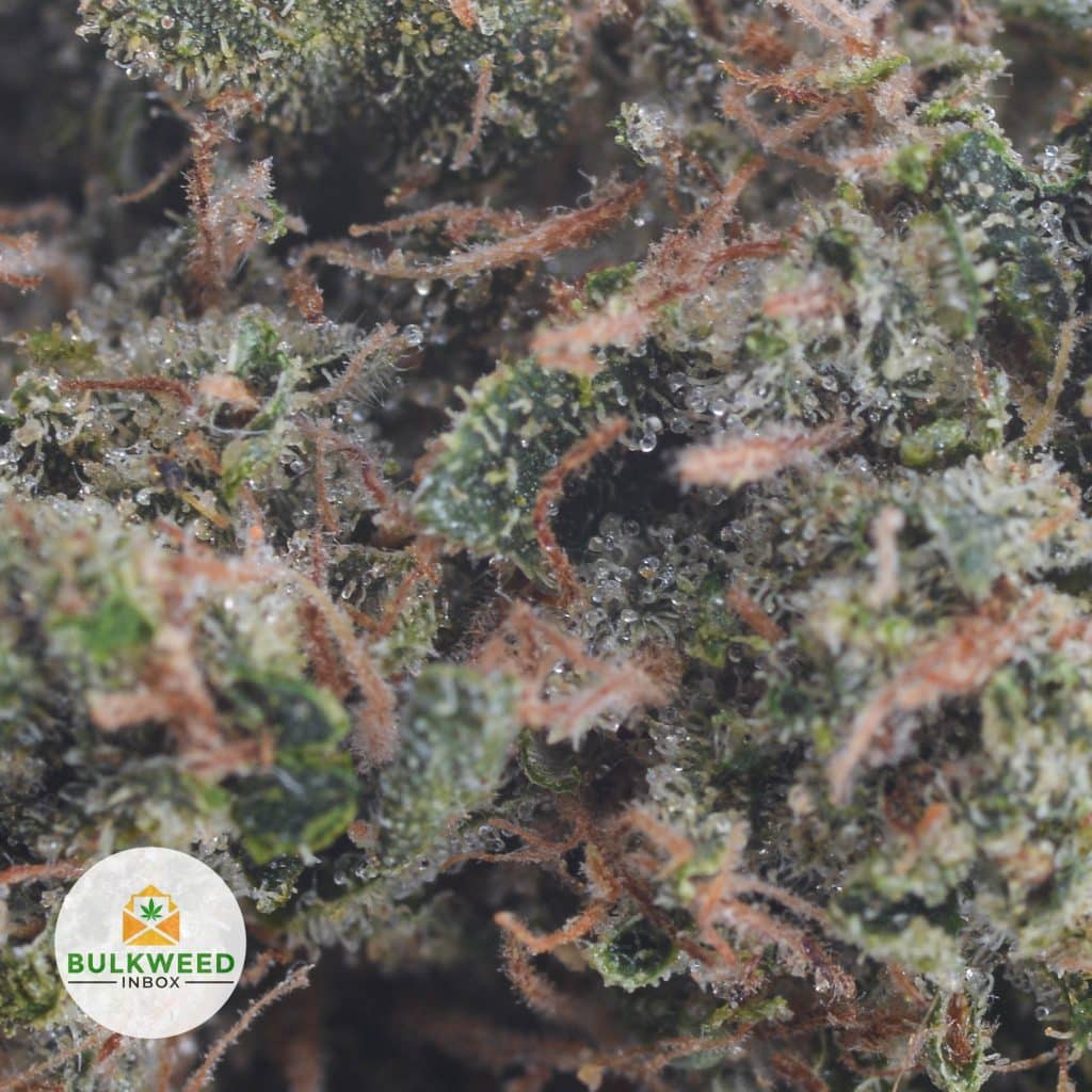 LA-CONFIDENTIAL-2