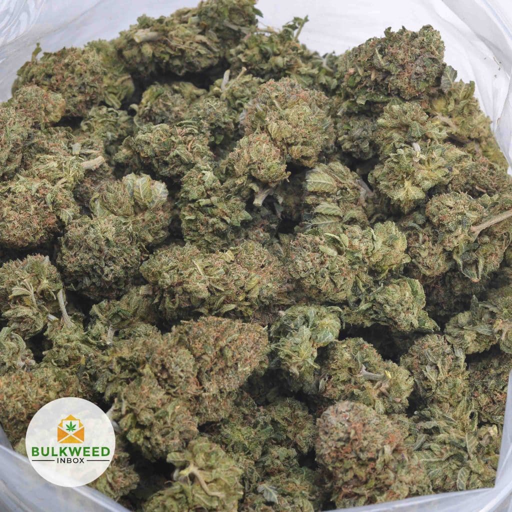 LA-CONFIDENTIAL-3