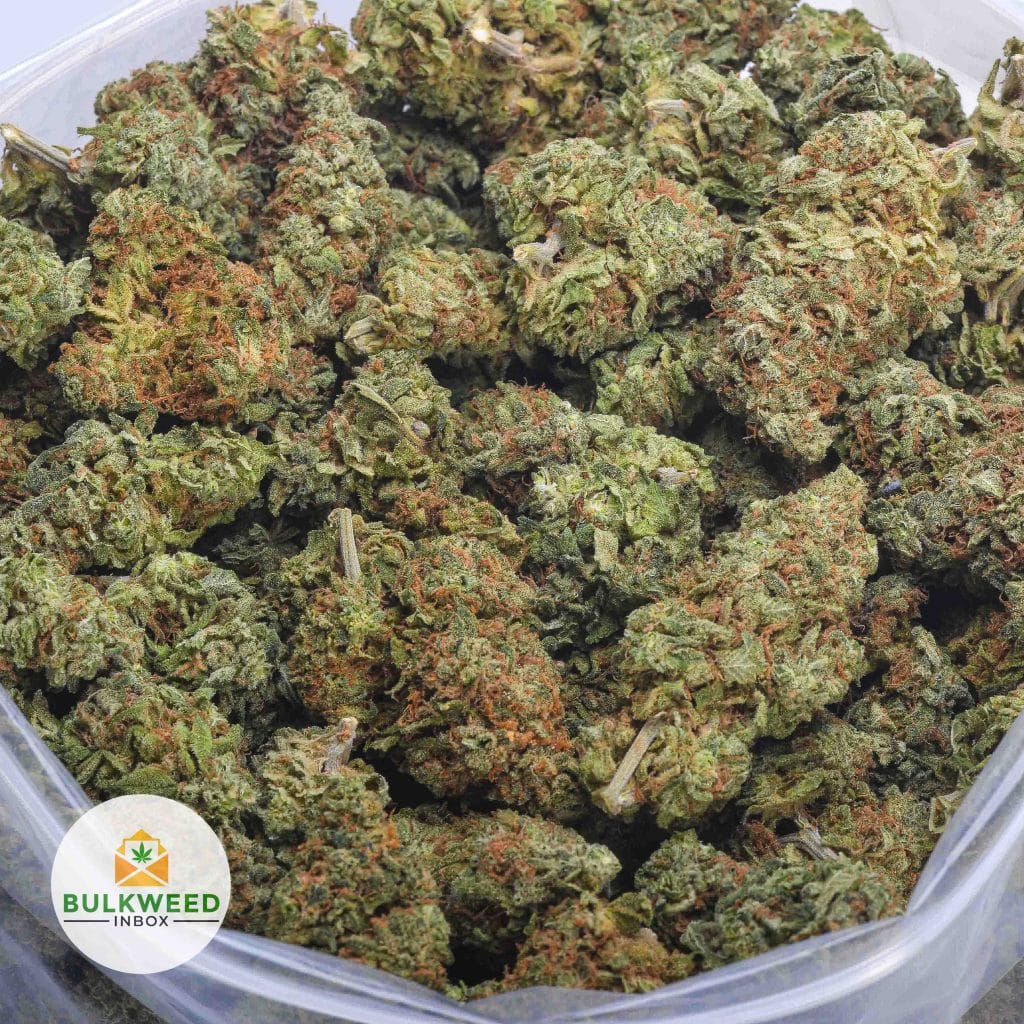 LEMON-HAZE-aa-2