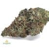 LEMON-HAZE-aa1-2
