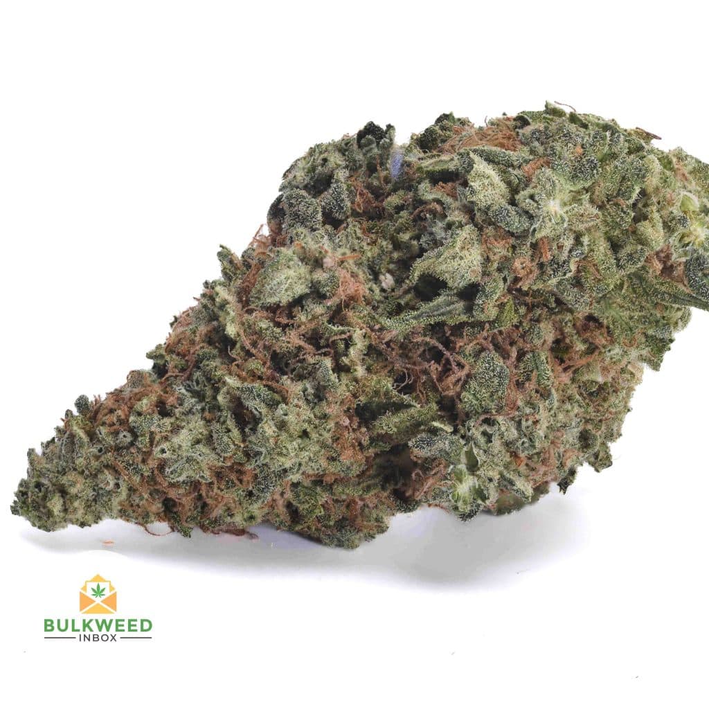LEMON-HAZE-aa1-2