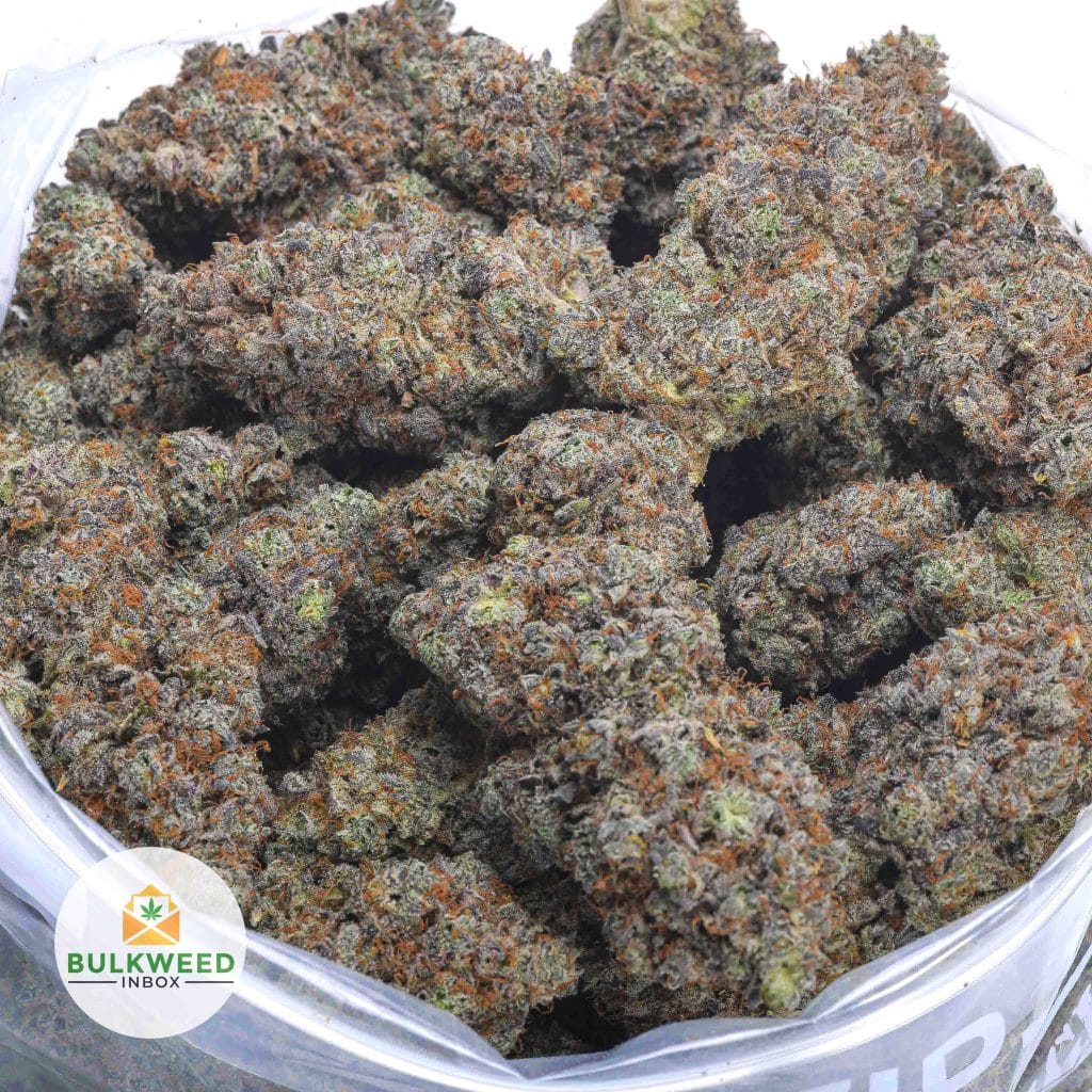 NOIR-DIAMANT-NELSON-CRAFT-FARMS-2