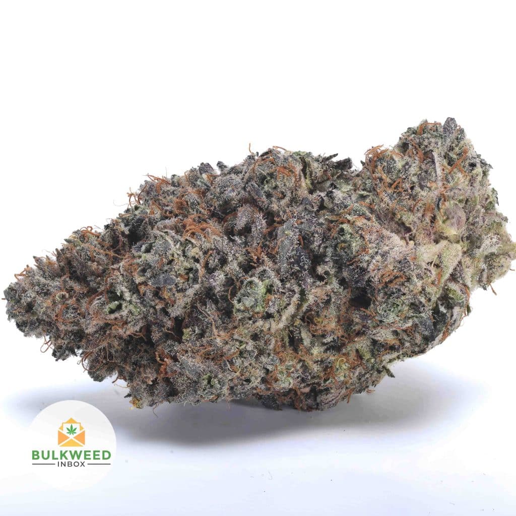 NOIR-DIAMANT-NELSON-CRAFT-FARMS1-2