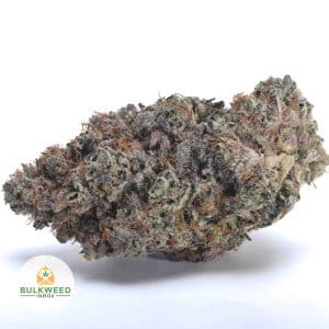 NOIR-DIAMANT-NELSON-CRAFT-FARMS1-2