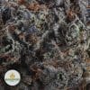 NOIR-DIAMANT-NELSON-CRAFT-FARMS2-2