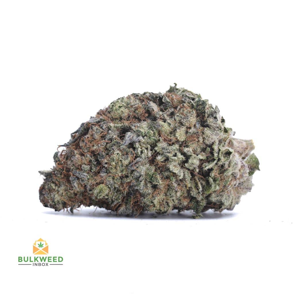 OG-KUSH-BREATH