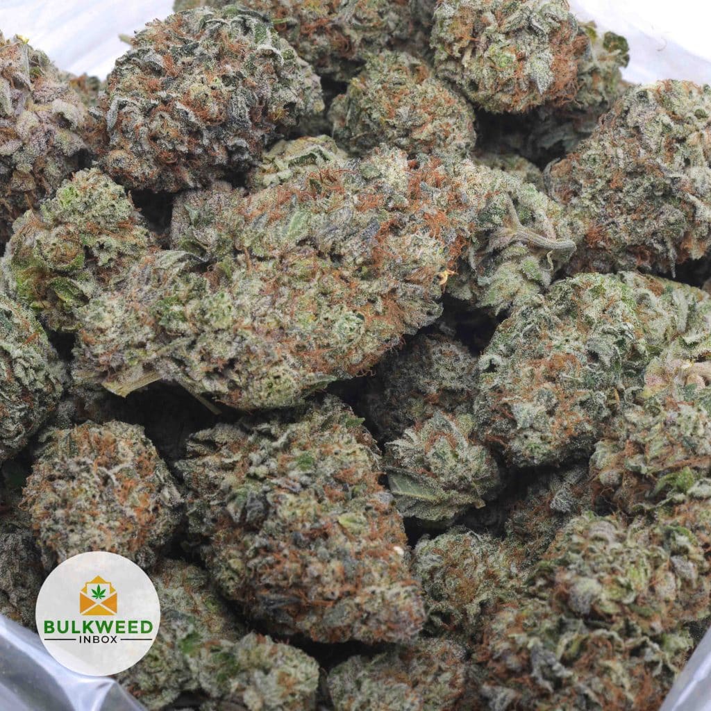 OG-KUSH-BREATH-3