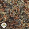 PINE-TAR-KUSH-AAA2-2
