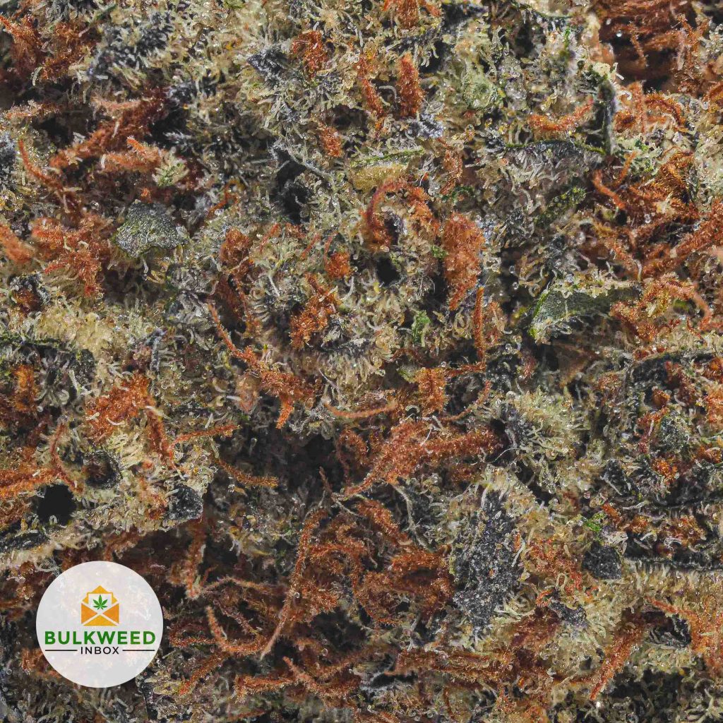 PINE-TAR-KUSH-AAA2-2