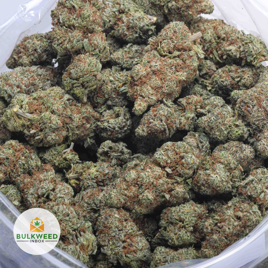 PLATINUM-HAZE-BB-2