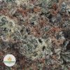 PLATINUM-HAZE-BB2-2