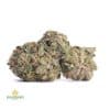 PURPLE-KUSH
