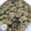 PURPLE-KUSH-3