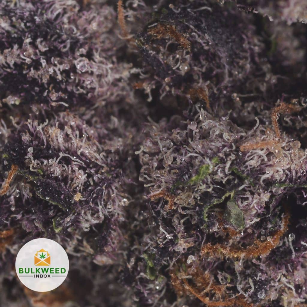 PURPLE-PUNCH-POPCORN-2