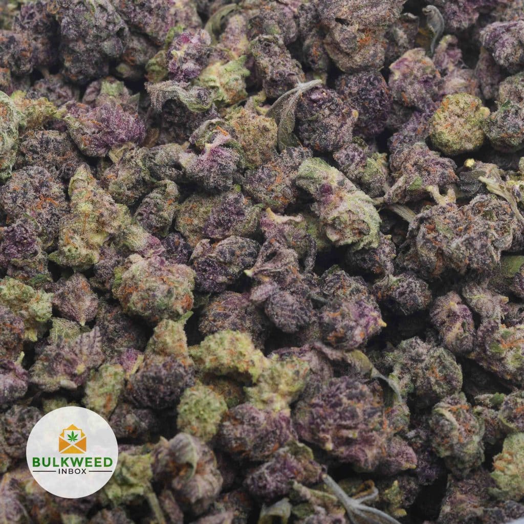 PURPLE-PUNCH-POPCORN-2-2