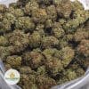 PURPLE-SPACE-TUNA-aaa-2