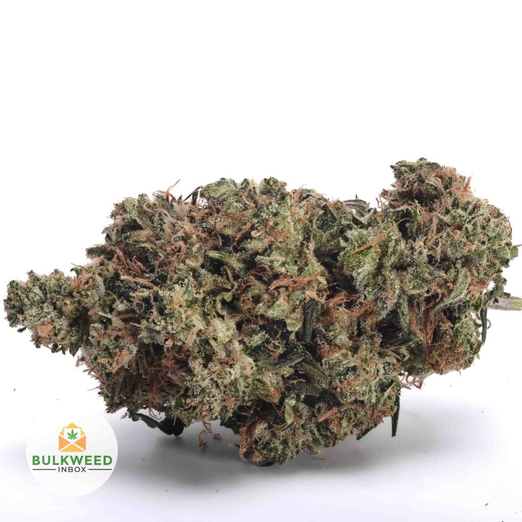 PURPLE-SPACE-TUNA-aaa1-2