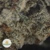 ROMULAN-POPCORN-2