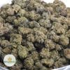 ROMULAN-POPCORN-3