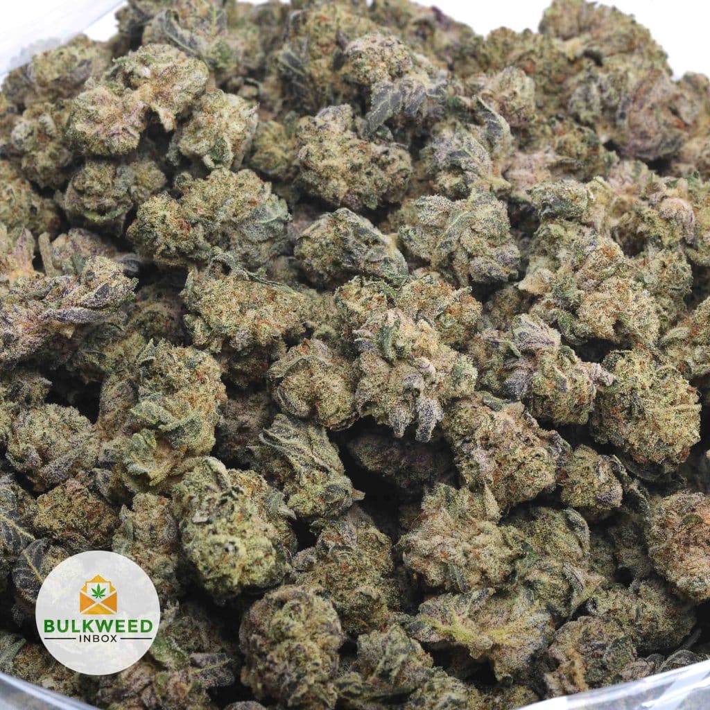 ROMULAN-POPCORN-3