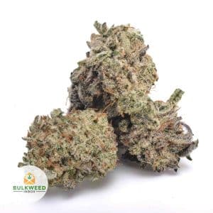SKYWALKER-POPCORN-AA1-2