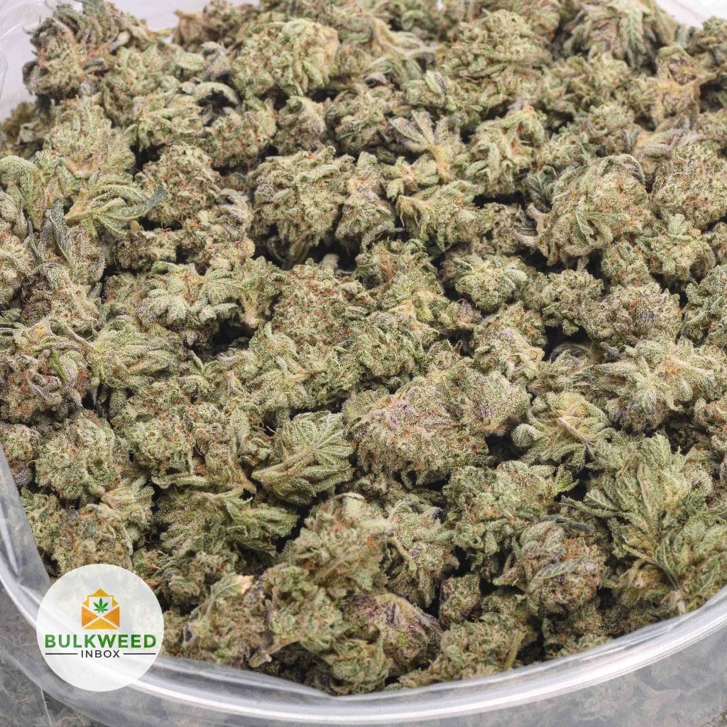 SKYWALKER-POPCORN-AAA-2
