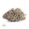 SOUR-JACK-
