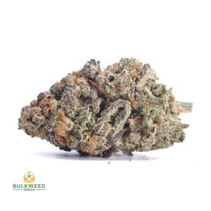 SOUR-JACK-