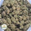 SOUR-JACK-3