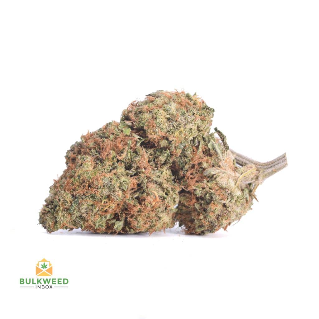 TANGERINE-DREAM