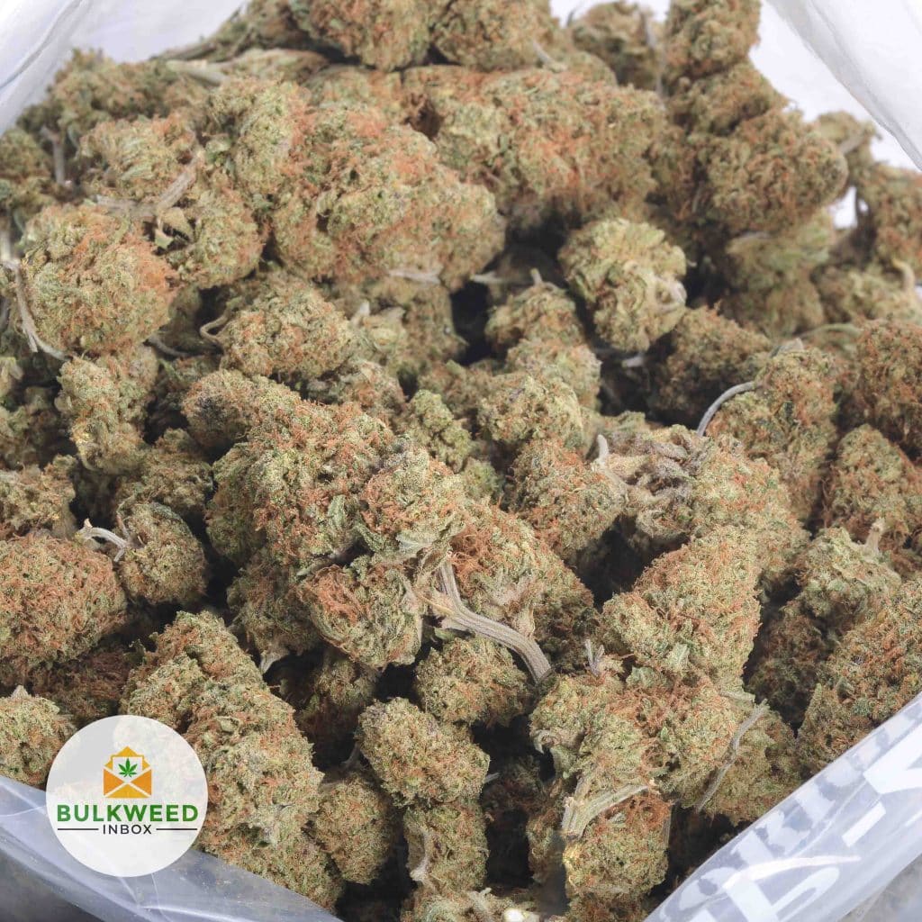TANGERINE-DREAM-2