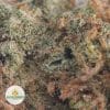 TANGERINE-DREAM-3