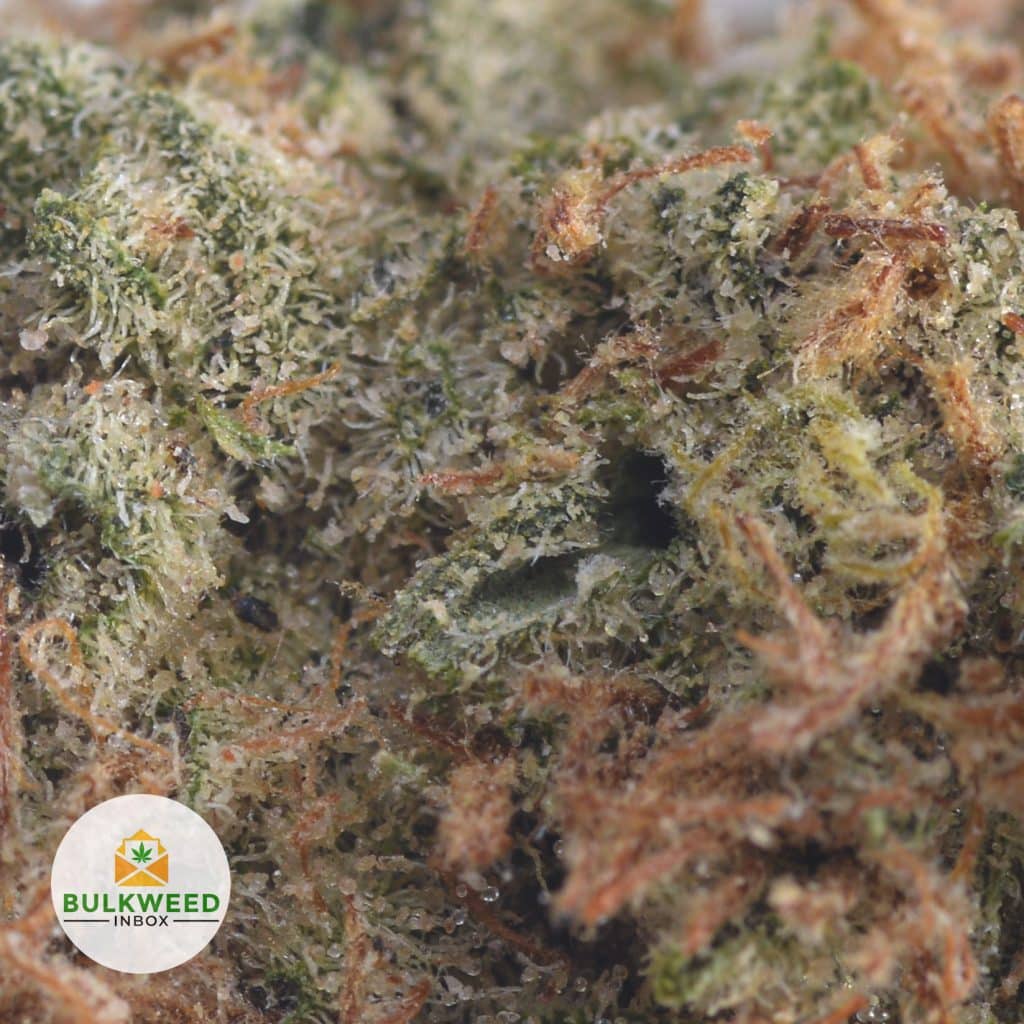 TANGERINE-DREAM-3
