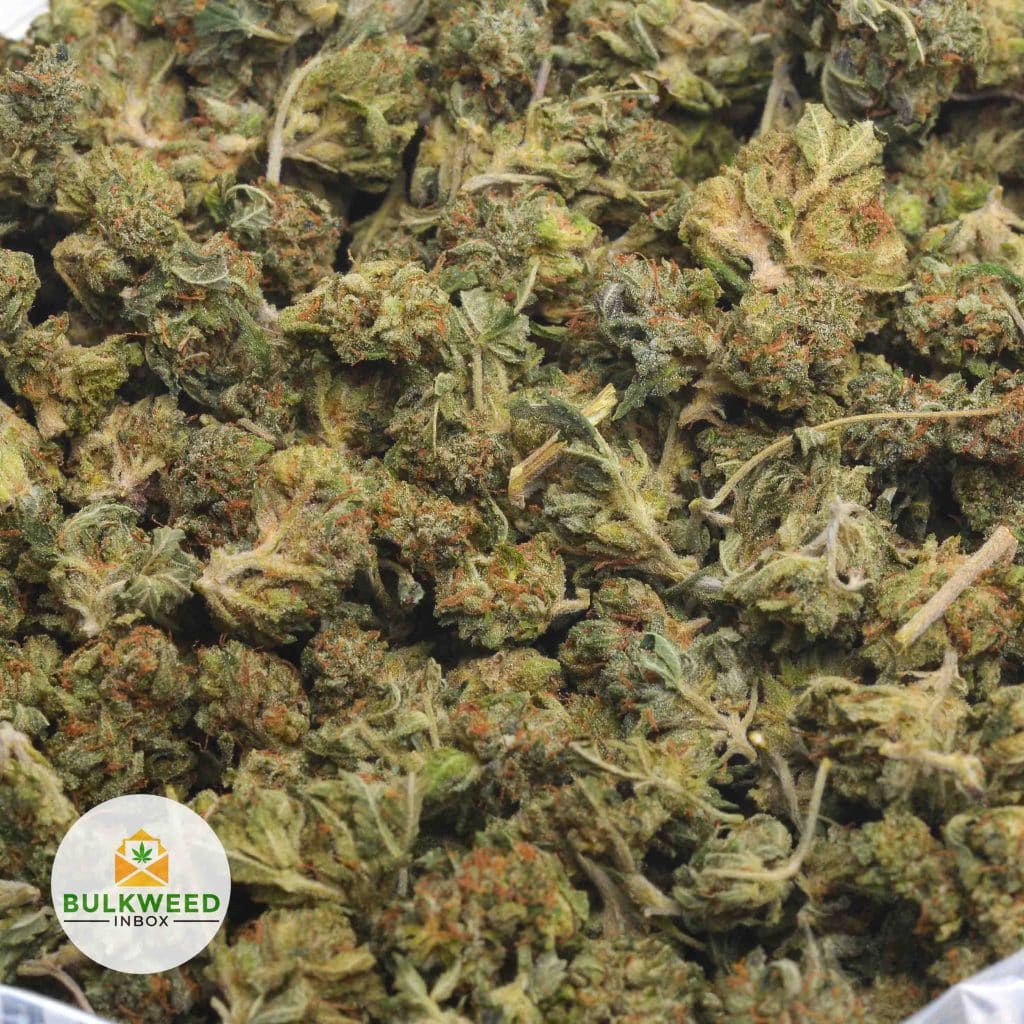TUNA-KUSH-POPCORN-3