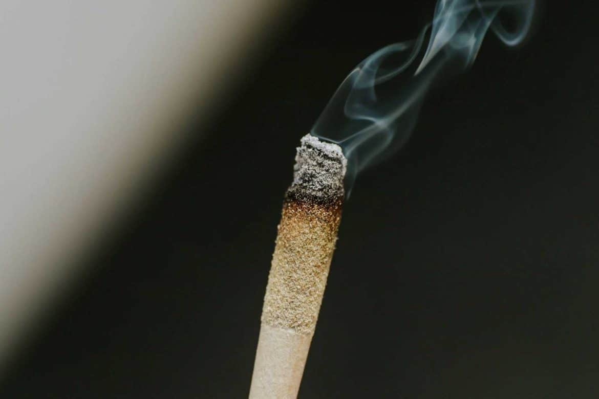craft-cannabis-white-ash-comparison