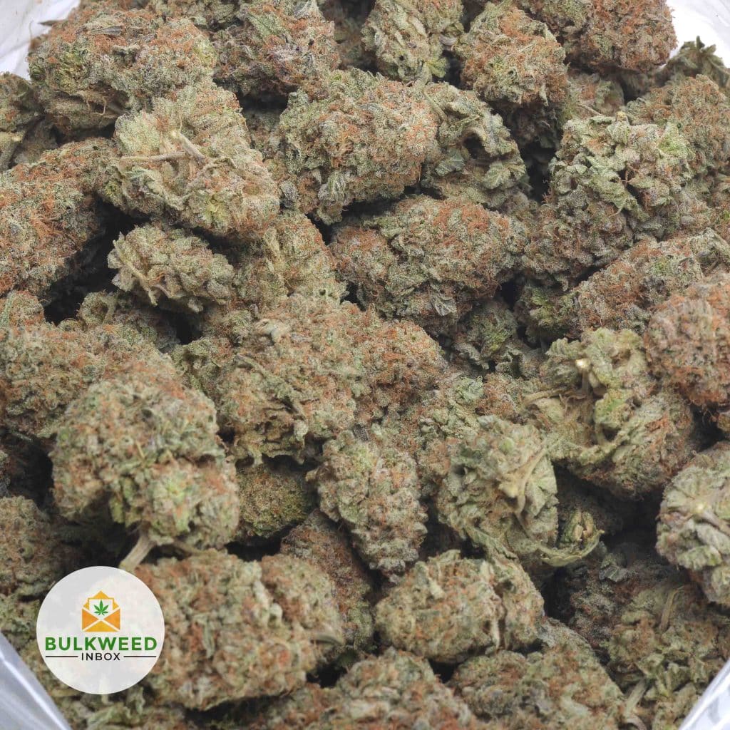 AK47-3